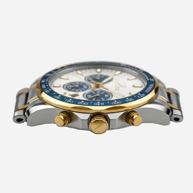 PELVINI PODEGAR™ | Dominante watch